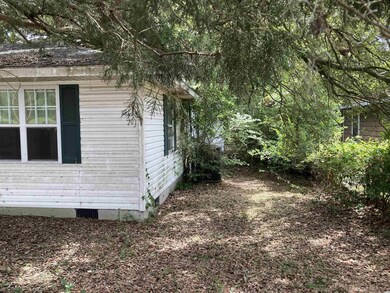 1517 Smith St unit 1517 Brye Alley, Conway, SC 29526 - photo 2