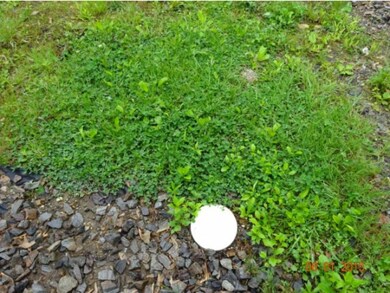 47 Mechanic St, Winchester, NH 03470 - photo 3