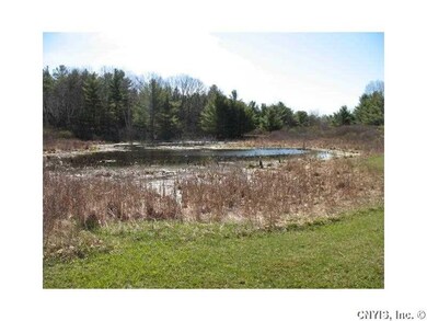 Other. Pond