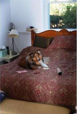 11 Marion St unit A, Roslindale, MA 02131 - photo 5