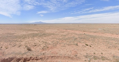 Katarina Ave unit Socorro County NM, Las Nutrias, NM 87062 - photo 2