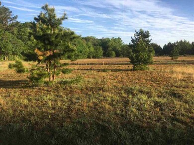 0 Standley Rd unit 280163, Monticello, FL 32344 - photo 6