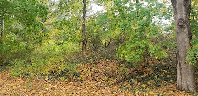 1079 Russells Mills Rd, South Dartmouth, MA 02748 - photo 3