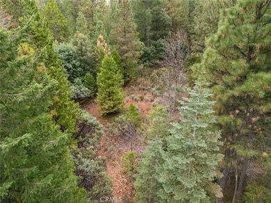 1 Old Forbestown Rd, Forbestown, CA 95941 - photo 2