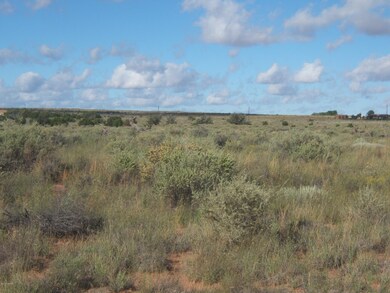 4962 N Wt Antelope 003