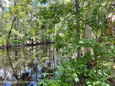 1528 NE Palm St, Steinhatchee, FL 32359 - photo 5