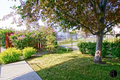 Yard Area