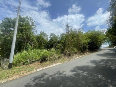 0 Bo Arenas Carr Pr-734 Km 6 3 unit MFRPR9116009, Cidra, PR 00739 - photo 2