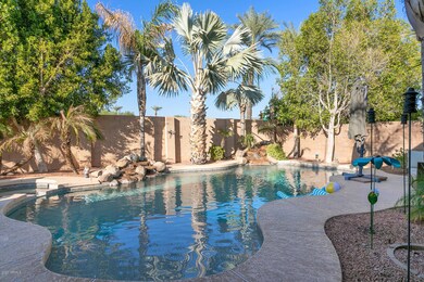 POOL OASIS