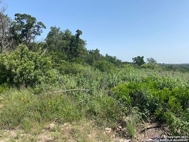 14702 Iron Horse Way, Helotes, TX 78023 - photo 5