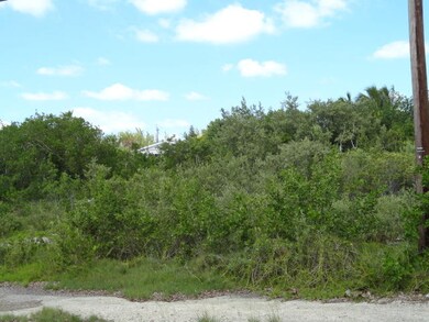 Blackbeard St View