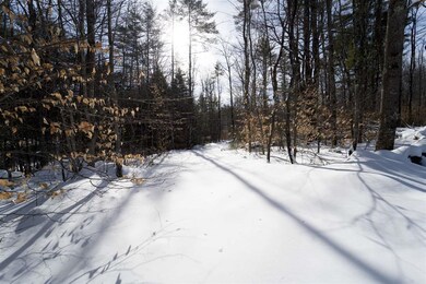 1207 Old Hillsboro Rd, Henniker, NH 03242 - photo 2