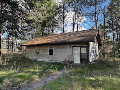 N9625 Alcedo St, Summit Lake, WI 54485 - photo 2