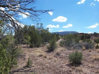 0 Camino Mesteno Tract 5 unit 758518, Placitas, NM 87043 - photo 7