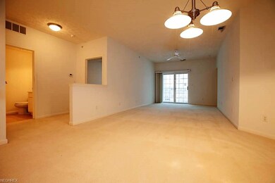 1016 Aqua Marine Blvd unit 54, Avon Lake, OH 44012 - photo 4