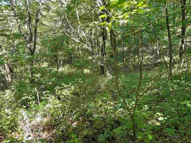 14.14 ac Smock Valley Rd, Browntown, WI 53522 - photo 5