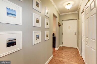 6 Elphin Ct unit 201, Lutherville Timonium, MD 21093 - photo 2