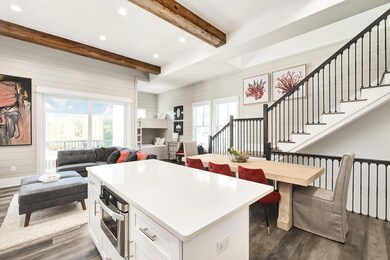 Kitchen to Living