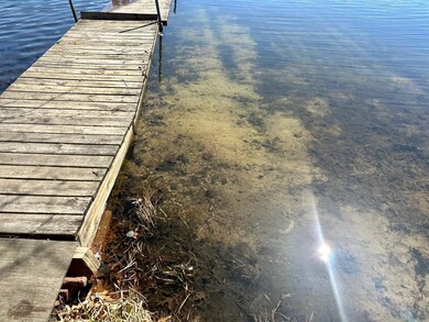 47-Amazing sandy shoreline.jpg