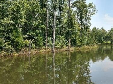 Photo-1