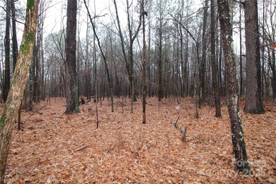 4+/-AC LOT 5 Milo Neal Rd, Kings Mountain, NC 28086 - photo 4