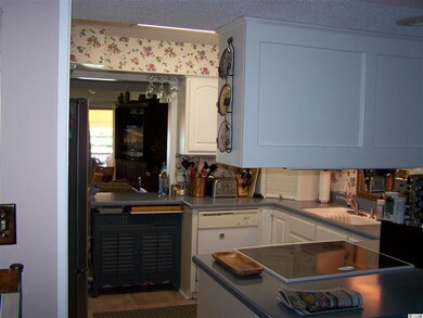 77 Pheasant Loop unit 311, Georgetown, SC 29440 - photo 3