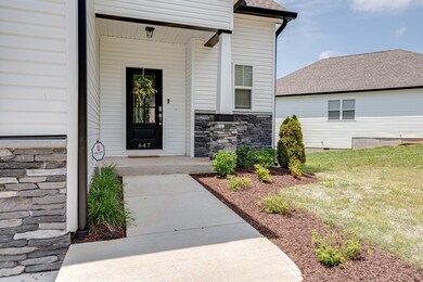 647 Faye Alley, Springfield, TN 37172 - photo 4