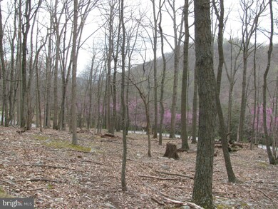 0 Settlers Valley Way unit 1000146727, Lost River, WV 26810 - photo 4