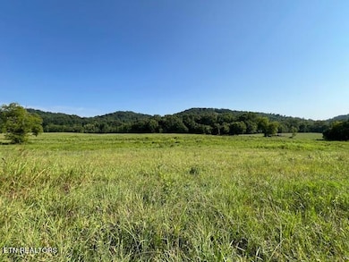 7662 Haws Rd unit 3, Knoxville, TN 37920 - photo 2