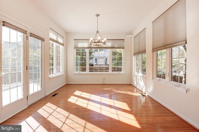 217 Misty Pond Terrace, Purcellville, VA 20132 - photo 6