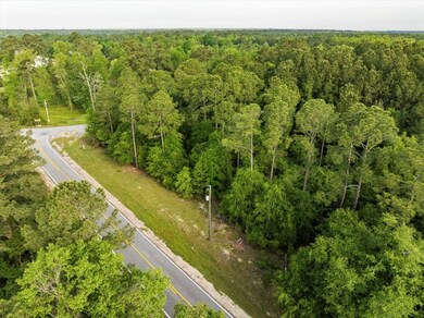 Lot 1, 2 Scenic Route, Cordele, GA 31015 - photo 4