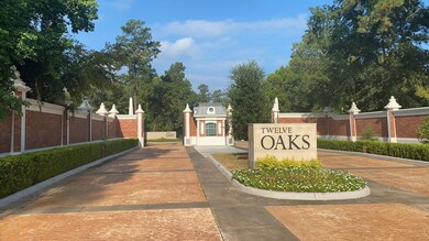 25103 Scarlet Manor Ct, Tomball, TX 77375 - photo 2