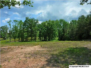 Front is cleared. Middle of property has trees and there is cleared land behind the trees. Several choice building sites