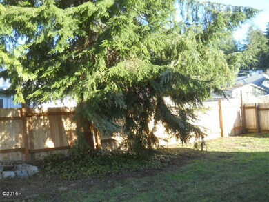 Back yard