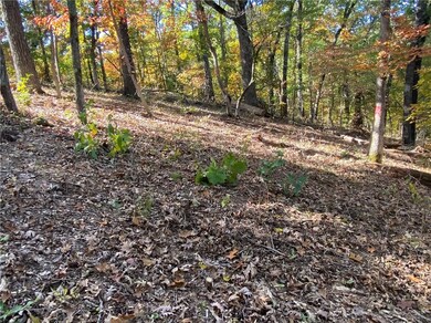 22 Carew Dr, Bella Vista, AR 72714 - photo 5