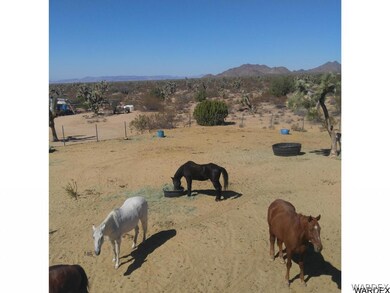 Horses Allowed