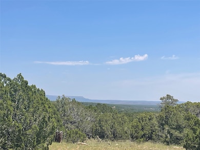 000 County Road B29a, Villanueva, NM 87583 - photo 2