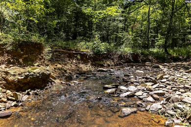 0 Pageland Hwy unit 614464, Lancaster, SC 29720 - photo 3