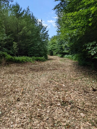 Off W Salisbury Rd unit 7, Salisbury, NH 03268 - photo 7