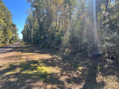 162 Meadow Ln, Livingston, TX 77351 - photo 3