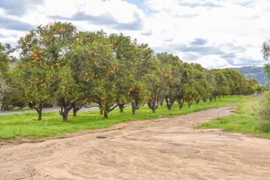 30540 Andreen Rd, Valley Center, CA 92082 - photo 7