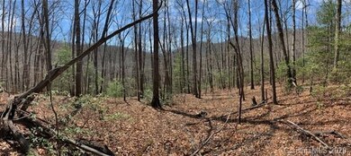 27 Pathfinder Trail, Asheville, NC 28806 - photo 2