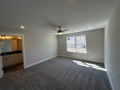 232 Tyler Cornerstone Trail, Smyrna, TN 37167 - photo 5