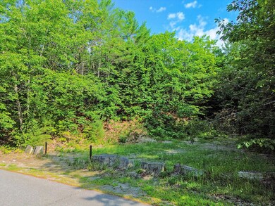 Lot 2-1 Father Rasle Rd, Mercer, ME 04957 - photo 4