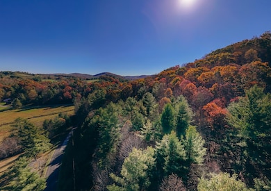 0 Shelor Rd SW, Meadows Dan, VA 24120 - photo 4