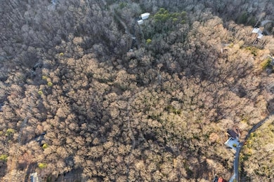 00 Brandy Ln, Franklin, NC 28734 - photo 4