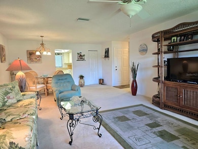 1435 57th St W unit 1435, Bradenton, FL 34209 - photo 7