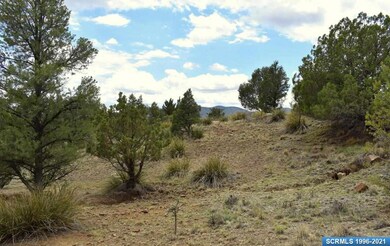 XX Shadow Mountain Rd, Silver City, NM 88061 - photo 7