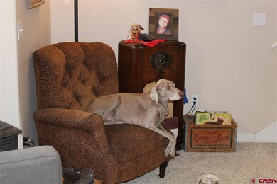 E 7th Ave unit B3, Durango, CO 81301 - photo 7