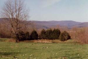 Land